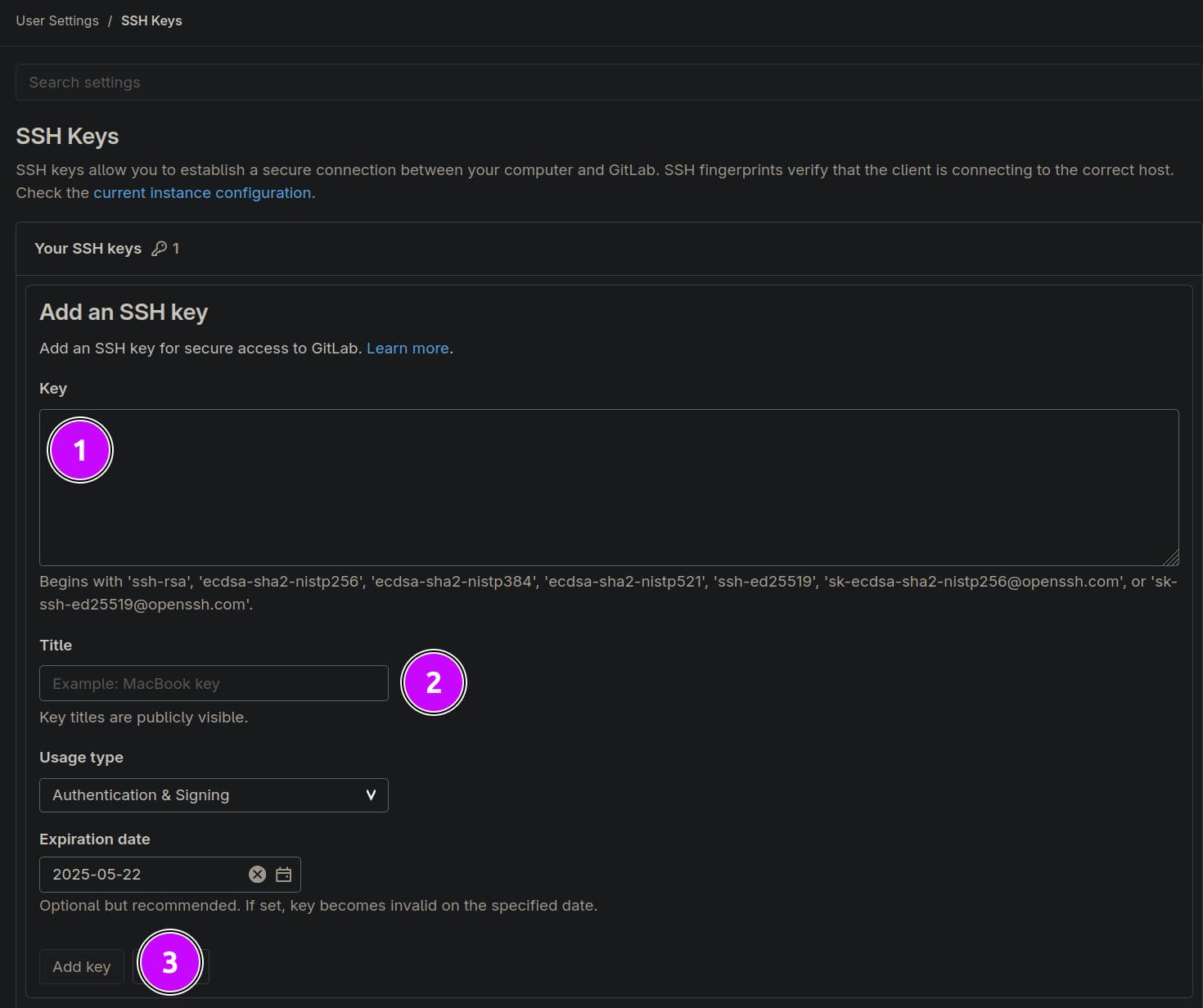 Gitlab add SSH input form